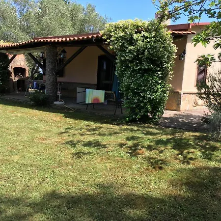 Natural Chalet